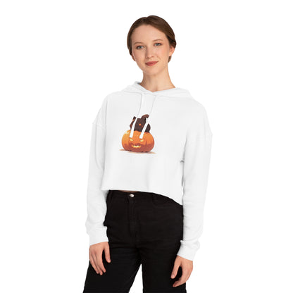 Pumpkin Guardian (Cropped Hoodie)